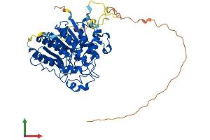 Protein Structure (PS) image for Histone Deacetylase 1 (HDAC1) (AA 1-482) protein (His tag) (ABIN7554086)