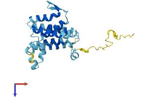 Der1-Like Domain Family, Member 2 (DERL2) (AA 1-239) protein (His tag)