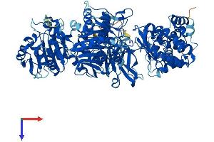 AlphaFold protein structure predicition of Human Recombinant TCAF1 Protein, UniprotID Q9Y4C2