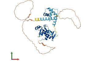 Protein Structure (PS) image for Ly1 Antibody Reactive (LYAR) (AA 1-379) protein (His tag) (ABIN7549260)