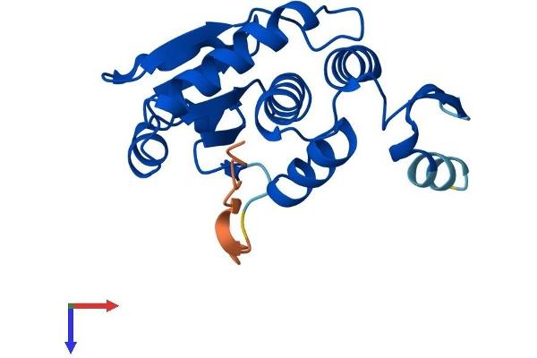 DUSP21 Protein (AA 1-189) (His tag)