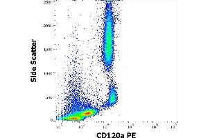Flow cytometry surface staining pattern of human peripheral whole blood stained using anti-human CD120a (H398) PE antibody (10 μL reagent / 100 μL of peripheral whole blood). (TNFRSF1A Antikörper  (PE))