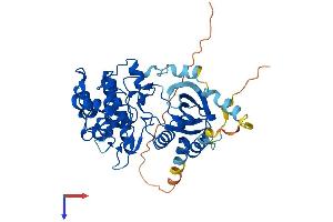 STK32B Protein (AA 1-414) (His tag)