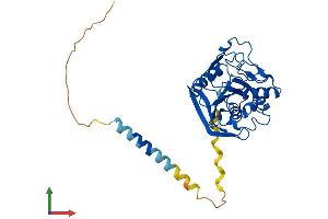 Protein Structure (PS) image for Xylosylprotein beta 1,4-Galactosyltransferase, Polypeptide 7 (Galactosyltransferase I) (B4GALT7) (AA 1-327) protein (His tag) (ABIN7552601)
