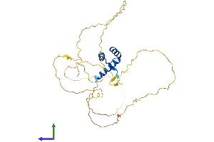 AlphaFold protein structure predicition of Human Recombinant DLX2 Protein, UniprotID Q07687