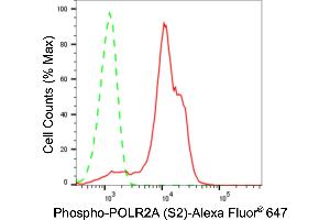 Flow cytometric analysis of Phospho-POLR2A (S2) expression in HeLa cells using Phospho-POLR2A (S2) antibody (ABIN7800262), 1:2,000). (Rekombinanter POLR2A/RPB1 Antikörper  (pSer2))