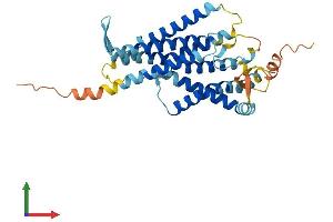 Protein Structure (PS) image for G Protein-Coupled Receptor 160 (GPR160) (AA 1-336) protein (His tag) (ABIN7557142)