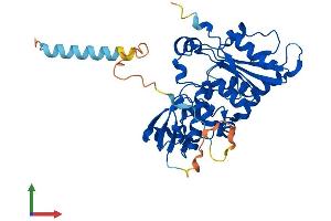 Protein Structure (PS) image for Fucosyltransferase 1 (Galactoside 2-alpha-L-Fucosyltransferase, H Blood Group) (FUT1) (AA 1-365) protein (His tag) (ABIN7547785)