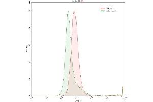 Detection of IL1R1 in Raji human Burkitt's lymphoma cell line using Polyclonal Antibody to Interleukin 1 Receptor Type I (IL1R1) (IL1R1 Antikörper  (AA 386-553))