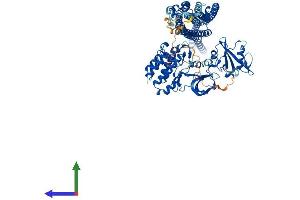 AlphaFold protein structure predicition of Mouse Recombinant Fes Protein, UniprotID P16879