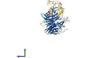 Protein Structure (PS) image for Recombination Activating Gene 2 (RAG2) (AA 1-527) protein (His tag) (ABIN7555155)