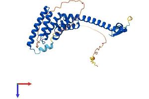 TTC1 Protein (AA 1-292) (His tag)