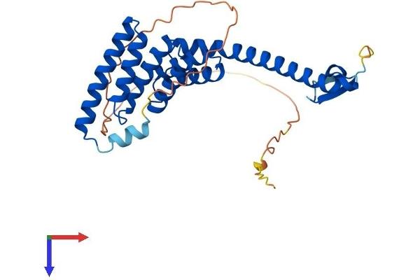 TTC1 Protein (AA 1-292) (His tag)