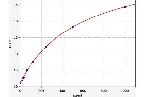 CCR6 ELISA Kit