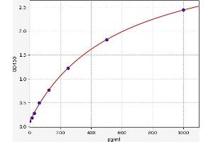 Typical standard curve (CCR6 ELISA Kit)