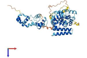 Protein Structure (PS) image for Tigger Transposable Element Derived 3 (TIGD3) (AA 1-471) protein (His tag) (ABIN7544554)