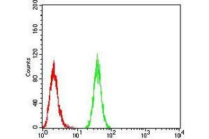 Flow Cytometry (FACS) image for anti-Bone Morphogenetic Protein 2 (BMP2) (AA 283-396) antibody (ABIN5542283)