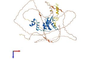 SOCS6 Protein (AA 1-535) (His tag)