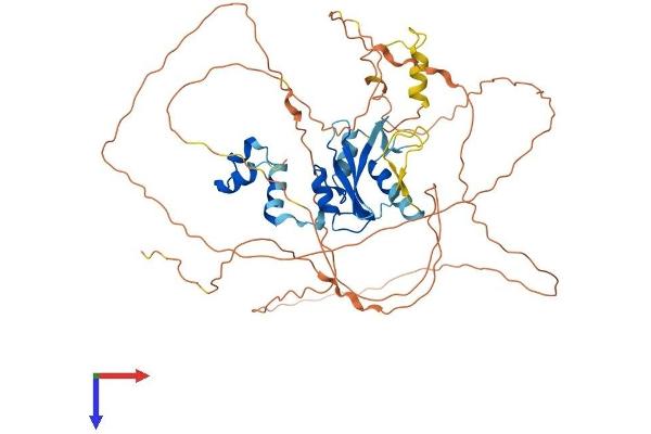 SOCS6 Protein (AA 1-535) (His tag)