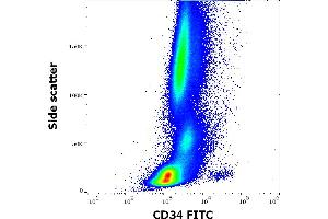 Flow cytometry surface staining pattern of human peripheral whole blood stained using anti-human CD34 (4H11[APG]) FITC antibody (20 μL reagent / 100 μL of peripheral whole blood). (CD34 Antikörper  (FITC))