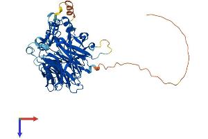 BCMO1 Protein (AA 1-566) (His tag)
