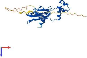 VHL Protein (AA 1-213) (His tag)