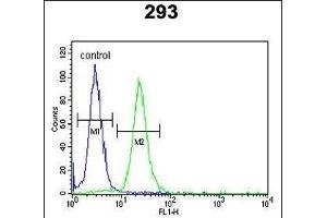 LMBR1L Antibody (C-term) (ABIN653751 and ABIN2843051) flow cytometric analysis of 293 cells (right histogram) compared to a negative control cell (left histogram). (LMBR1L Antikörper  (C-Term))