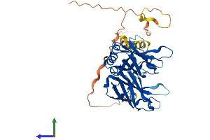 Protein Structure (PS) image for Double C2-Like Domains, alpha (DOC2A) (AA 1-400) protein (His tag) (ABIN7547154)