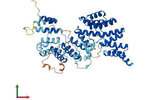 Protein Structure (PS) image for Tetratricopeptide Repeat Domain 8 (TTC8) (AA 1-541) protein (His tag) (ABIN7555861)