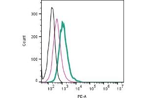 Cell surface detection of CALCRL by direct flow cytometry in live intact mouse J774 macrophage cell line: + Rabbit IgG isotype control-PE (ABIN7582046).
