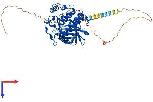 Casein Kinase 1 delta Protein (AA 1-415) (His tag)