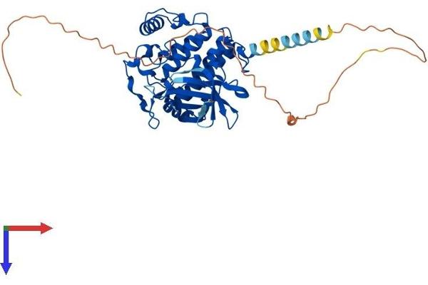 Casein Kinase 1 delta Protein (AA 1-415) (His tag)