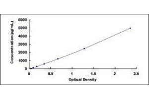 ELISA image for CD69 (CD69) ELISA Kit (ABIN417597)