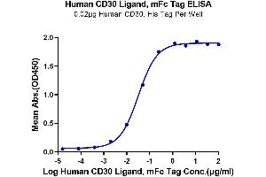 ELISA image for Tumor Necrosis Factor (Ligand) Superfamily, Member 8 (TNFSF8) (AA 63-234) protein (mFc Tag) (ABIN7274156)