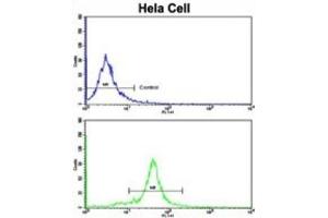 Flow Cytometry (FACS) image for anti-Golgi phosphoprotein 3 (Coat-Protein) (GOLPH3) antibody (ABIN3003211) (GOLPH3 Antikörper)