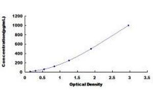 Granzyme B (GZMB) ELISA Kit