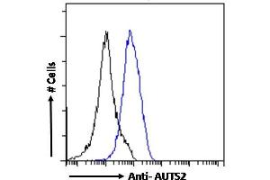 ABIN308459 Flow cytometric analysis of paraformaldehyde fixed A431 cells (blue line), permeabilized with 0. (AUTS2 Antikörper  (C-Term))