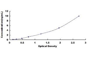 ELISA image for Hippocalcin-Like 1 (HPCAL1) ELISA Kit (ABIN3157588) (HPCAL1 ELISA Kit)