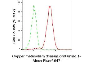 Flow cytometric analysis of Copper metabolism domain containing 1 expression in HepG2 cells using Copper metabolism domain containing 1 antibody (ABIN7798154), 1:2,000).