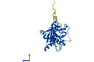 Protein Structure (PS) image for Methyltransferase Like 1 (METTL1) (AA 1-268) protein (His tag) (ABIN7556370)