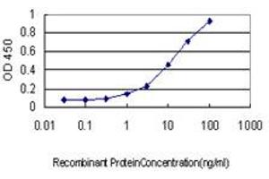 Detection limit for recombinant GST tagged RIOK3 is approximately 0. (RIOK3 Antikörper  (AA 1-516))