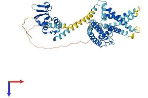 KCNS3 Protein (AA 1-491) (His tag)