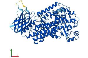 AlphaFold protein structure predicition of Mouse Recombinant Alox8 Protein, UniprotID O35936