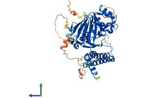 Protein Structure (PS) image for HSPB (Heat Shock 27kDa) Associated Protein 1 (HSPBAP1) (AA 1-483) protein (His tag) (ABIN7558714)
