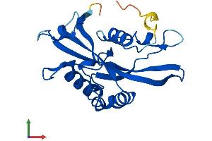 Protein Structure (PS) image for Nudix (Nucleoside Diphosphate Linked Moiety X)-Type Motif 16 (NUDT16) (AA 1-195) protein (His tag) (ABIN7554819)