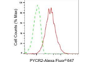 Flow cytometric analysis of PYCR2 expression in HepG2 cells using PYCR2 antibody (ABIN7800079), 1:2,000). (PYCR2 Antikörper)
