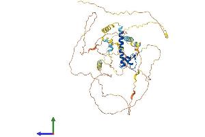 Protein Structure (PS) image for Doublesex and Mab-3 Related Transcription Factor 2 (DMRT2) (AA 1-561) protein (His tag) (ABIN7553713)