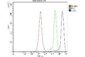 Flow Cytometry analysis of Jurkat cells using anti-Calmegin/CLGN antibody (ABIN7601481). (Calmegin Antikörper  (AA 36-610))