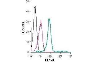 Flow Cytometry (FACS) image for anti-Purinergic Receptor P2X, Ligand-Gated Ion Channel, 7 (P2RX7) (AA 136-152), (Extracellular) antibody (FITC) (ABIN7043580)
