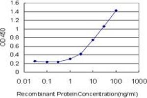 Detection limit for recombinant GST tagged EPHB6 is approximately 1ng/ml as a capture antibody. (EPH Receptor B6 Antikörper  (AA 23-122))